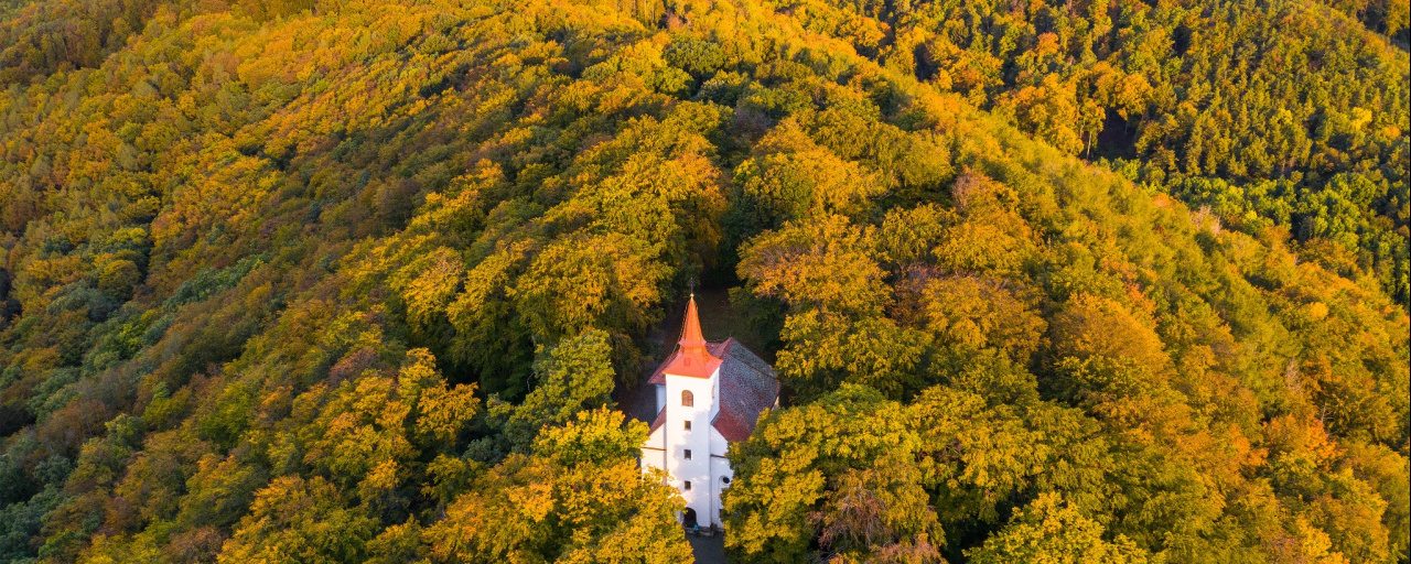 XXII. Szent Korona Emlék- és Teljesítménytúra  - 22 / 45 / 13