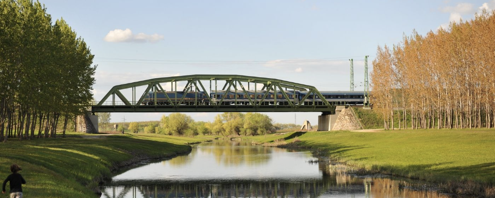 Vajk Ödön Emléktúra  - 20 km / 10 km