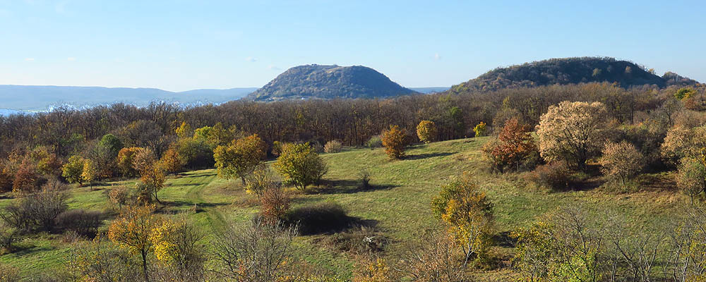 Katonasírok a Vértesben  - 20 / 40
