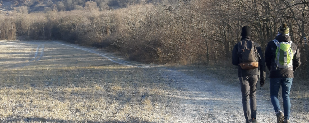 Szívecske túra  - 8