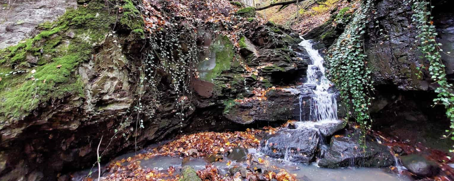 Vidróczki teljesítménytúra a Mátrában  - 62 / 46 / 31 / 18 / 100