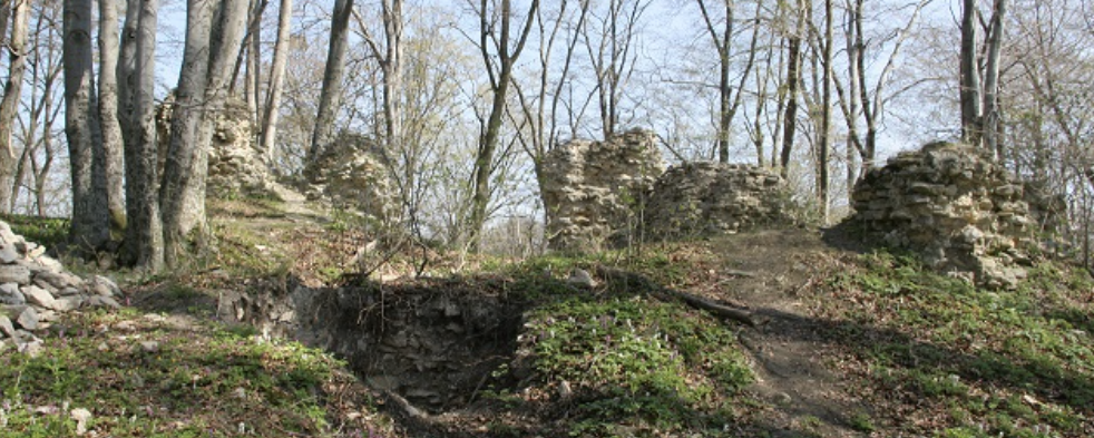 Vértesi barangolások IVV túranap  - 50 / 25 / 10