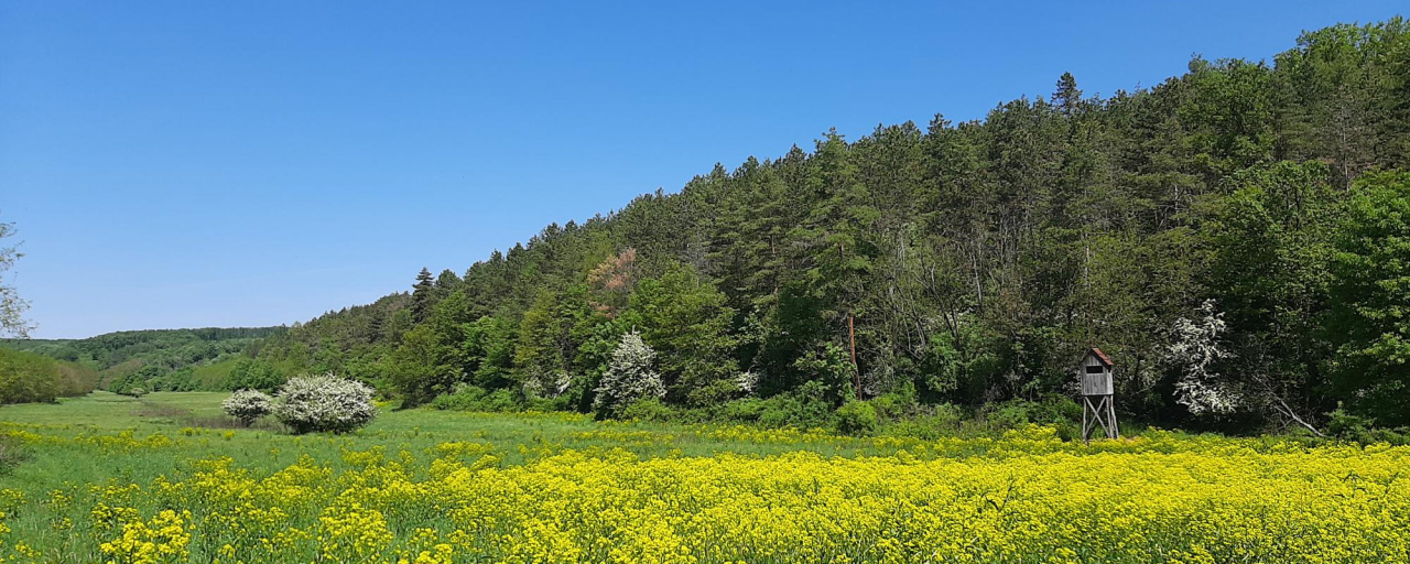 Természetjáró Gyalogtúra VÉMÉND