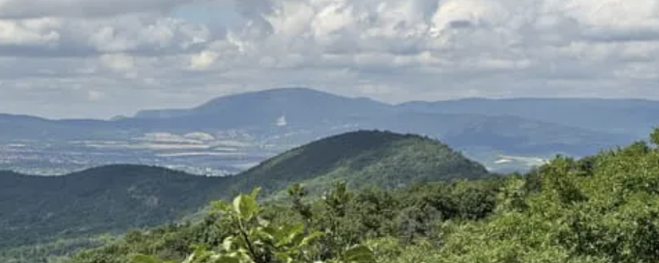 Telki felé Éjjel  - 34.5 / 11.5 / 7.5