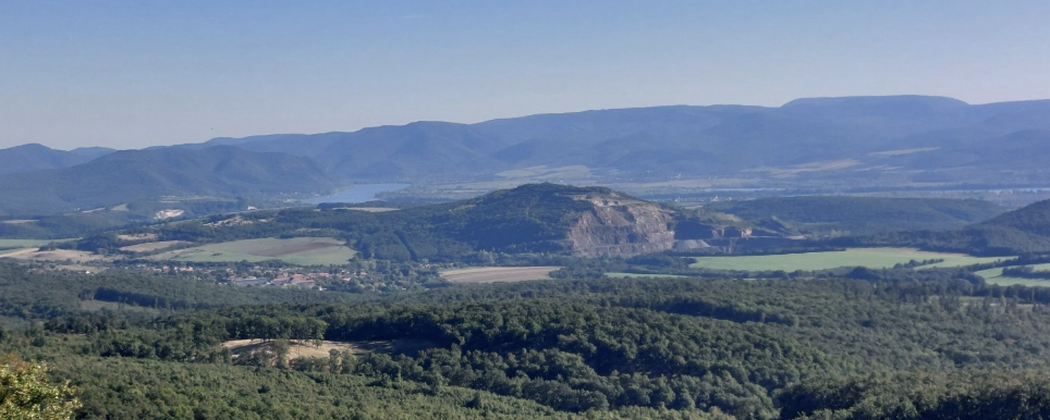 Előd Vezér  - Maraton / Félmaraton / Maratonka