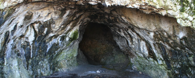 Ezüst-Kevély - 20 / 12 / 7