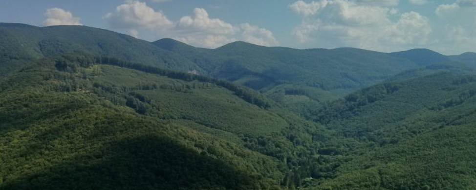 Bükki Kilátások  - Hard 65TF / Classic 44 / Fun Run 35TF / Sprint 14 / Imaro70