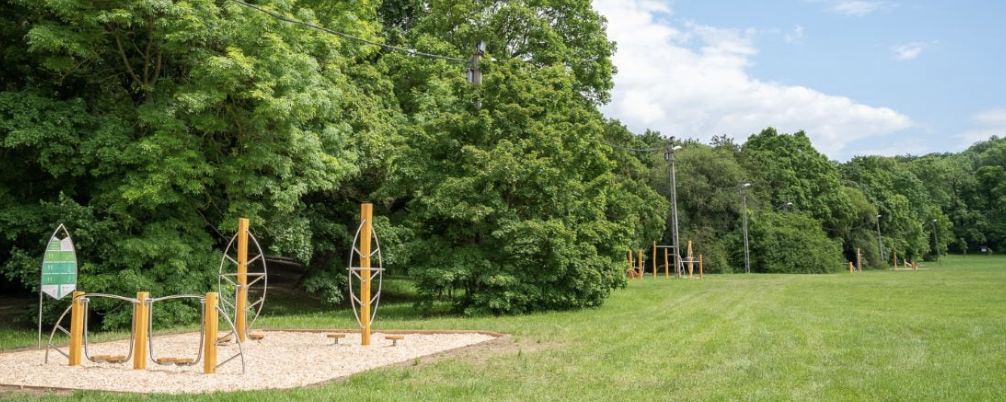 Fenyőgyöngyi Túranap Éjjel  - 24 / 11 / 6