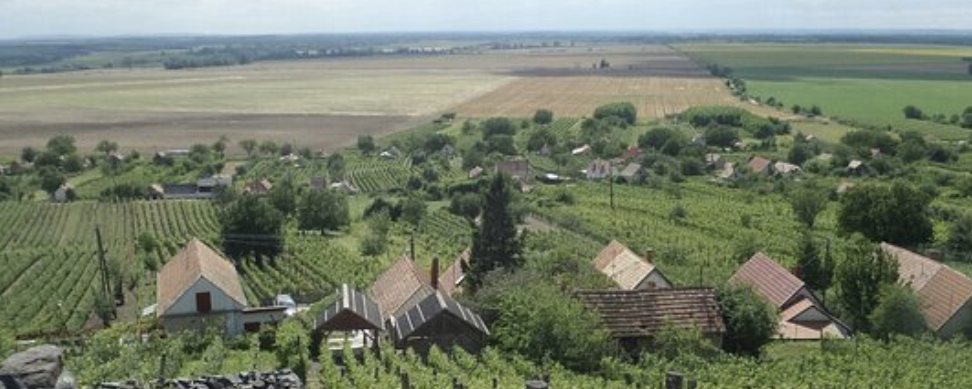 Noszlopos Bazalt  - 30