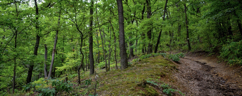 Bugybarangolás  - 12,5 / 8,5 / 23 / 35 / 50