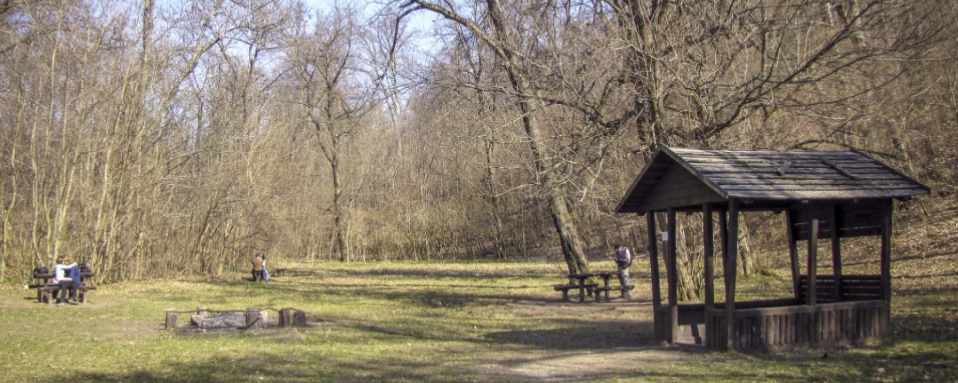 Csillebérci tekergés Éjjel - 21 / 11,5 / 5