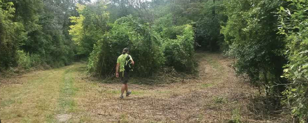 A mások földjén  - GY8.8 / K36 / 17.8