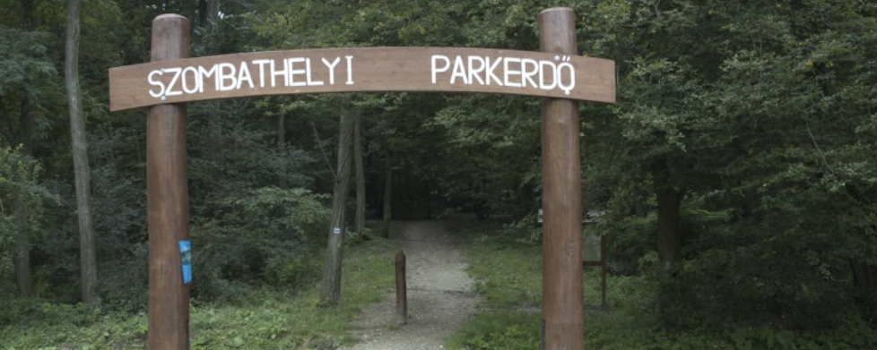 Vasi Kikelet - Erdei séta 5