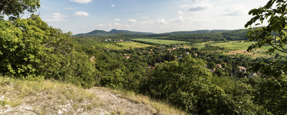 PIPIBABA  - BABA 22 / PIPI 12 / PIPI 5