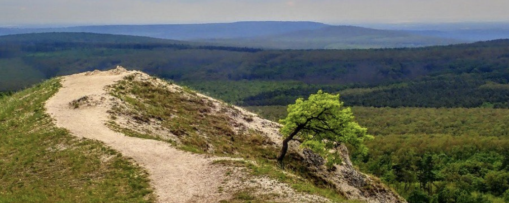 Pátyi Portya  - 29 / 13 / 6