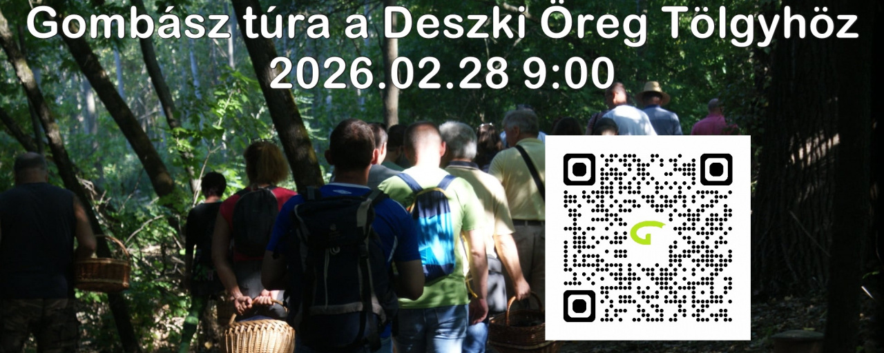 Gombász túra a Deszki Öreg Tölgyhöz