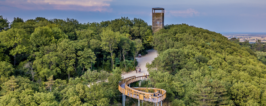 Pannonhalma és Ravazdi róka teljesítménytúrák  - Pannonhalma 10 / Ravazdi róka 10 / Ravazdi róka 15 / Ravazdi róka 20 / Ravazdi róka 30 / Pannonhalma 40 / Pannonhalma 50