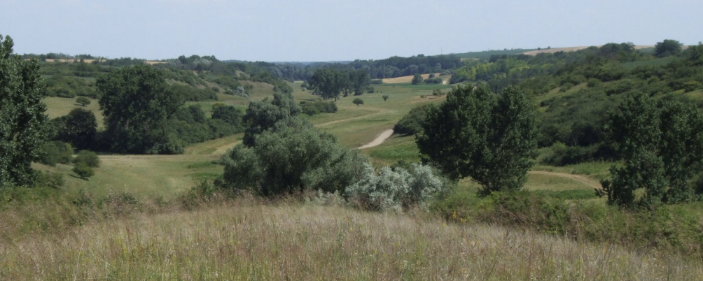 Éjjel a Mezőföldön  - 18