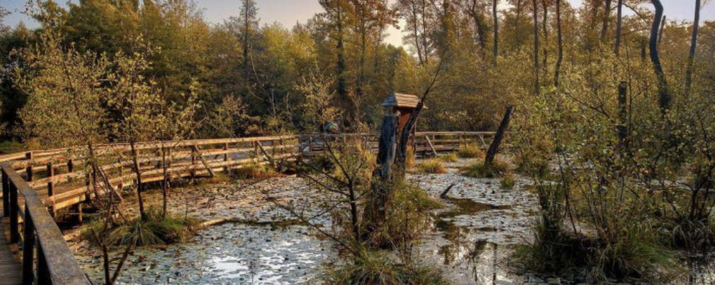 XXX.Tatai tavaszi IVV túra  - 15 / 10 / 7 / 14 / 5 (Új) / 20 (Új!)