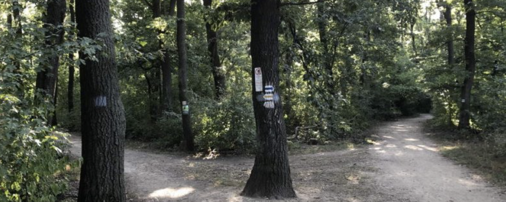 MASZAT Teljesítménytúra a határban 2026  - 6 km / 10 km / 19 km