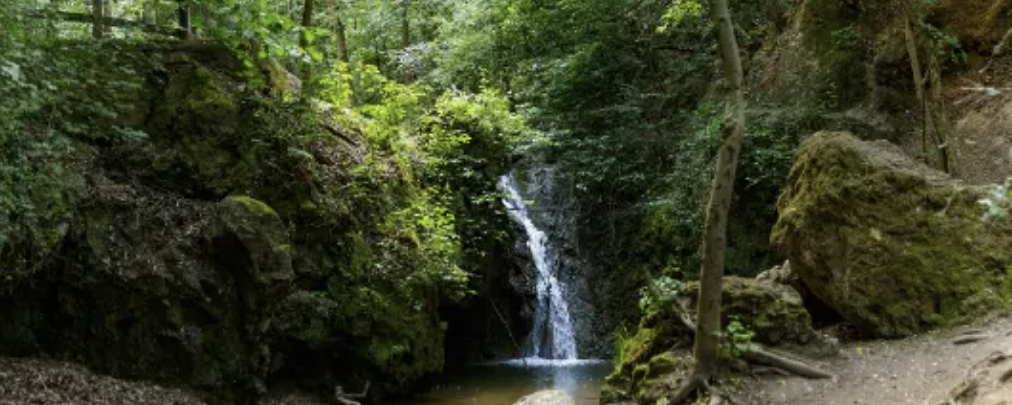 Sárga  - 40 / 20A / 20B / 15 / 10