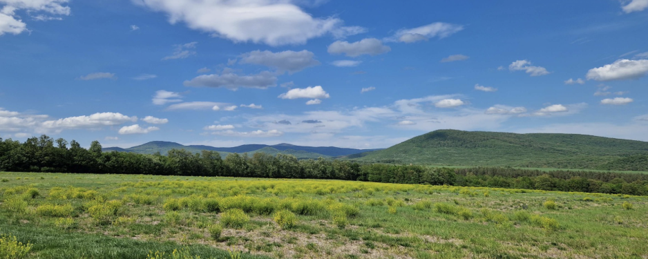 Teleki Pál emléktúra 2026  - 50 / 30 / 20 / Hóman 10