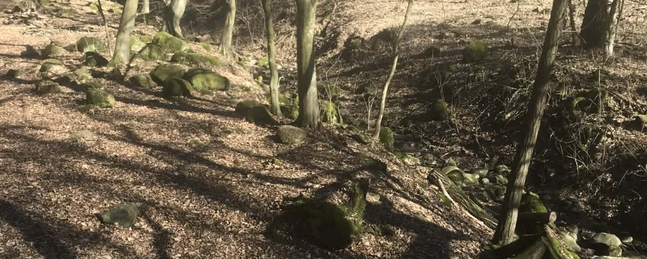 Irány a Holdvilág-árok márc. 1.