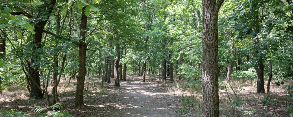 Séta az éjszakában  - 12 / 5