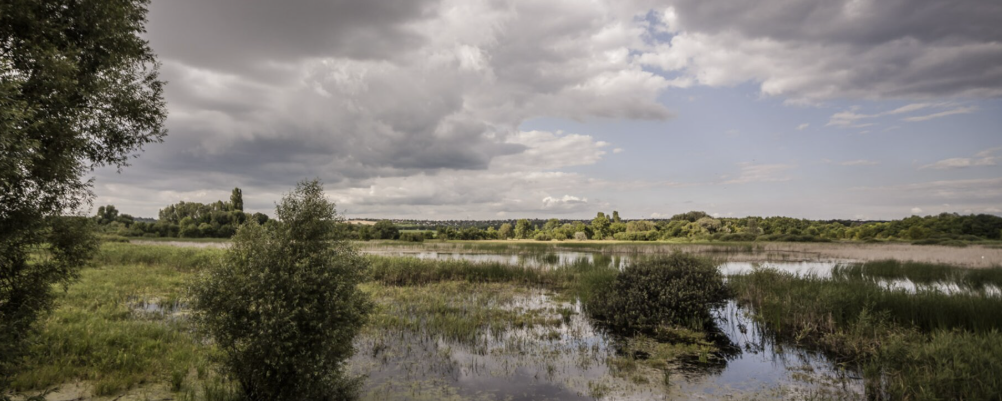 Merzse-mocsár éjszakai  - 20 / 10