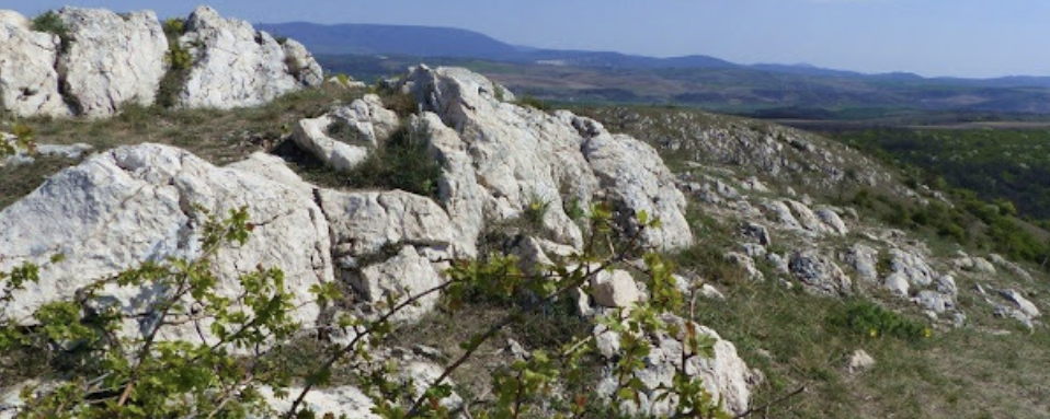 Gróf Sándor Móric Emléktúra  - XL / L / S