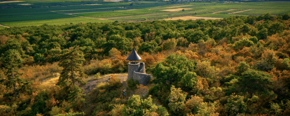 Mátrai Csillagok éjszakai teljesítménytúra  - 25 / 15