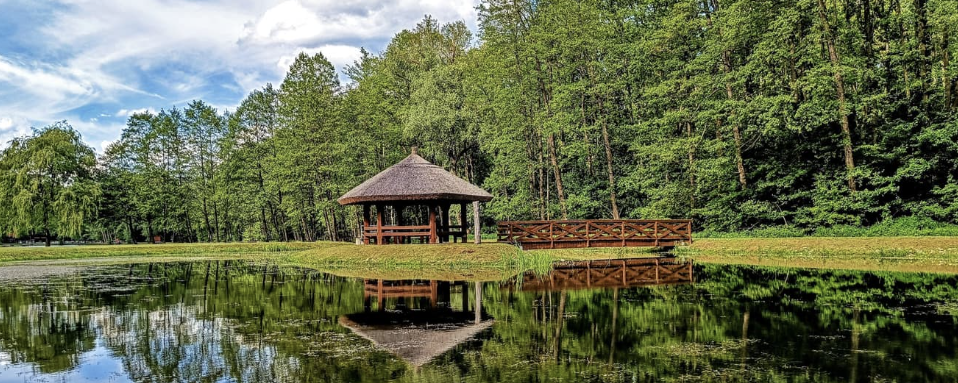 Zselic éjszakai  - 40 km / 20 km / 10 km