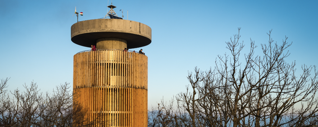 Pilisi Nyári  - Maraton / Félmaraton / Maratonka