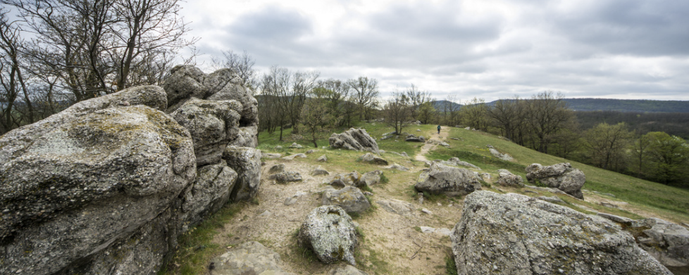 Pirkanc Teljesítménytúrák  - Pirkanc Hosszúlépés / Kőtenger / Hegyi Tavak / Pirkancos / Sanyarú Pirkanc / Sanyarú Kőtenger