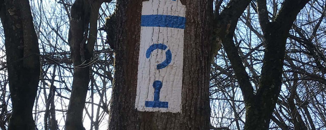 Nőnap alkalmából közösen elkezdjük a kéktúrát (OKT 14. Hűvösvölgy-Rozália téglagyár)márc. 8.