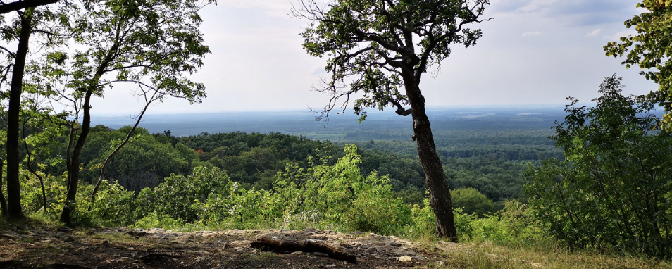 Szent László emléktúra  - 20 / 40