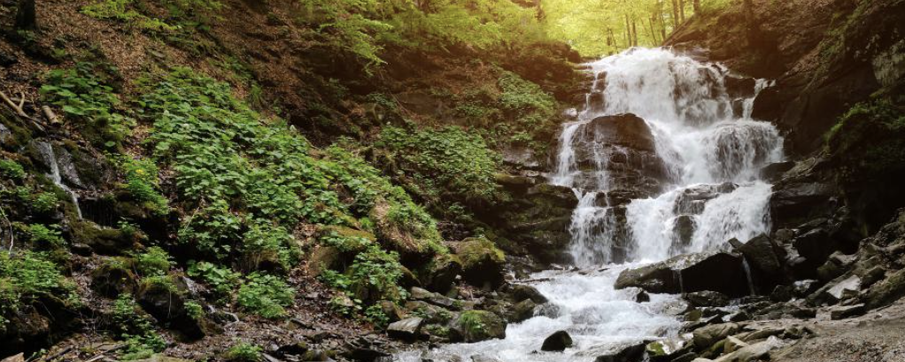 Börzsöny Szíve  - 35 / 25 / 15