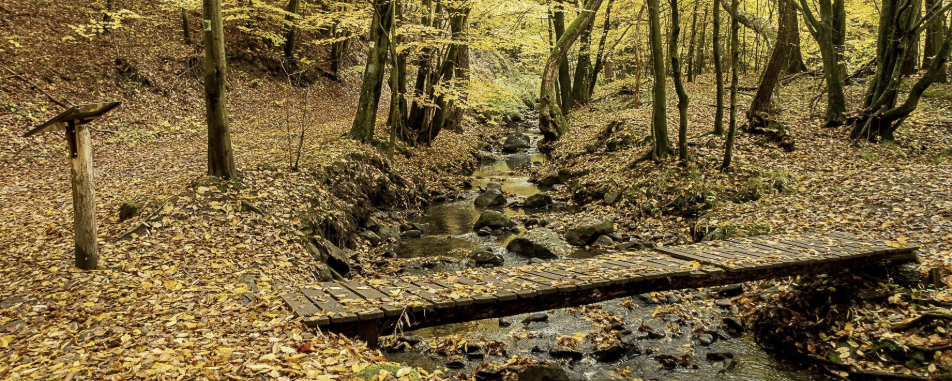 Ködös Börzsöny  - 20 / 10 / 30