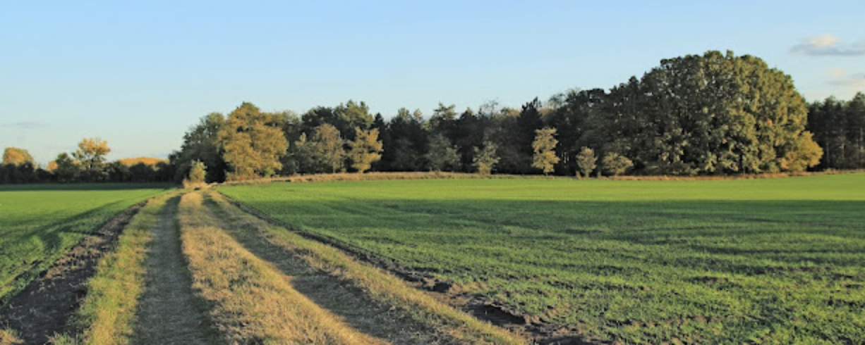 Rákóczi erdeje teljesítménytúra és terepfutás  - 50 / 25 / 15 / 7 / 35