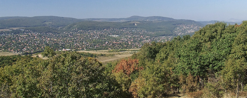 7Nap 7Éjszaka - Hűvösvölgy  - 6