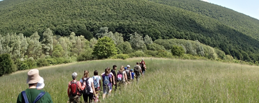 7Nap 7Éjszaka - Csúcshegyi Túranap  - 4