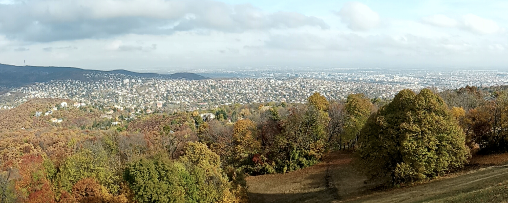 Gyertek ki a Vadasparkba!  - 17 km / 12 km