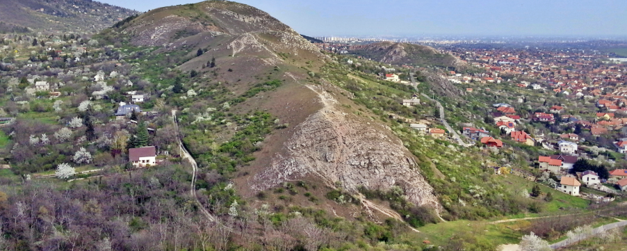 Kakukkhegy JOKER  - 20,5 / 15,5 / 9,5