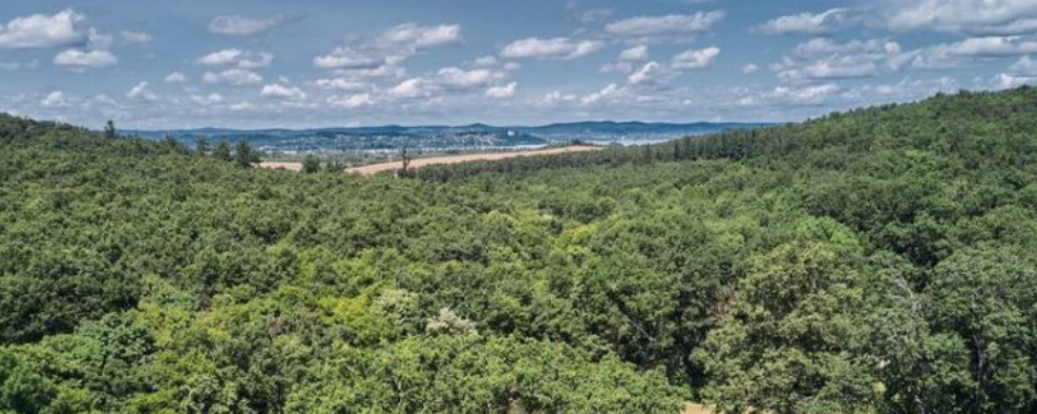 ALI a Kéken 30/19/9/5 (Vértes Hétvége)  - 30 / 19 / 5 / 9