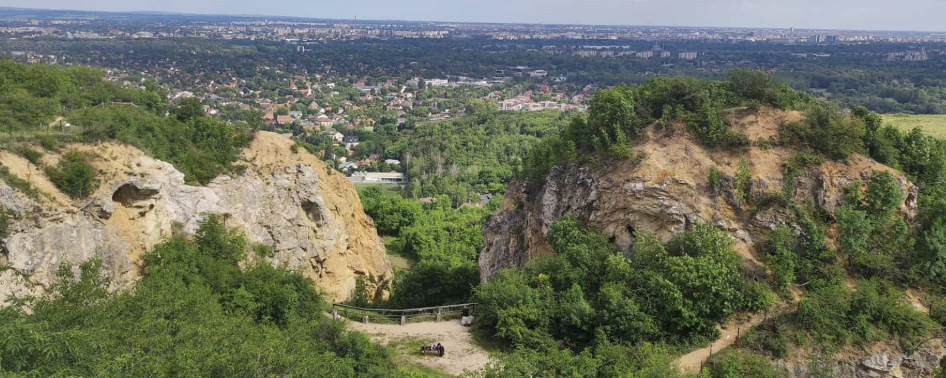 Keddi Kutyagoló  - 20 / 10 / 10+20