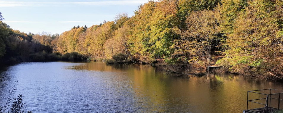 XII. Tiszta Víz túra - 6 / 12 / 22 / 27