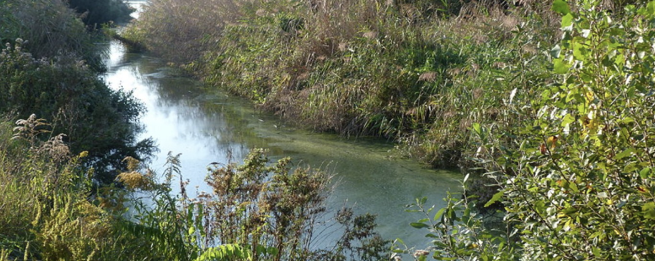 Farkas-erdő kívül-belül Éjjel - 14 / 9