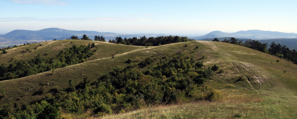 Ne vedd magad túl komolyan! (Szépjuhászné Hétvége)  - 42 / 21 / 12 / 6