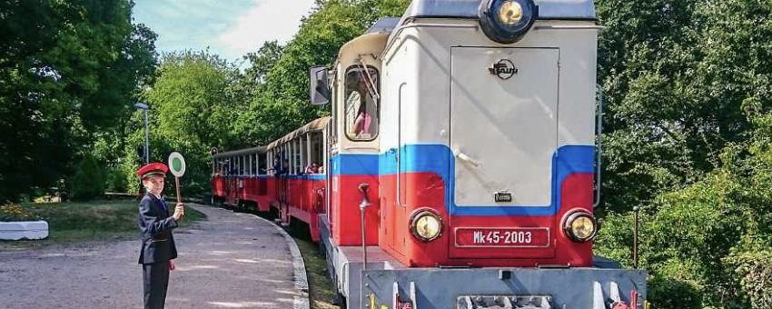Széchenyi-hegyi Túranap  - 20 / 8