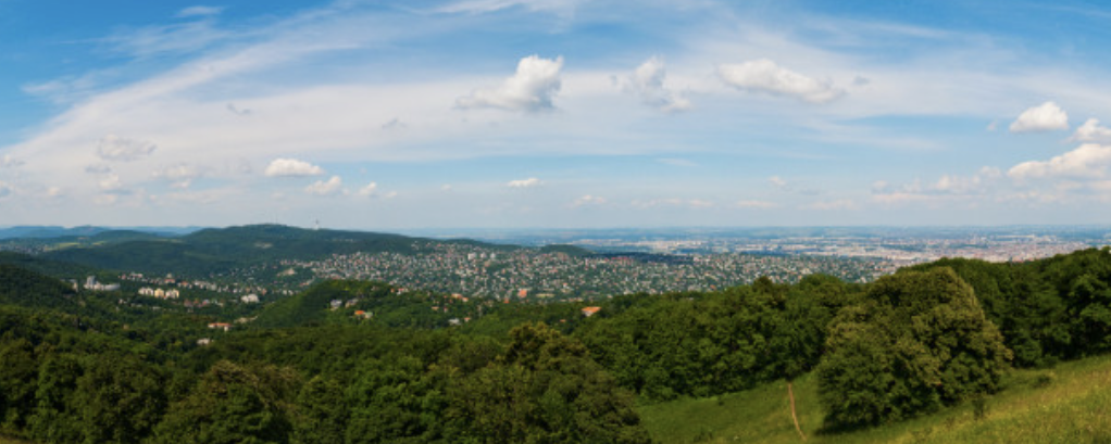 ZöldÚton  - 24 / 12 / 6